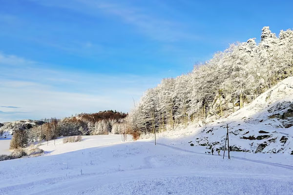 paesaggio invernale
