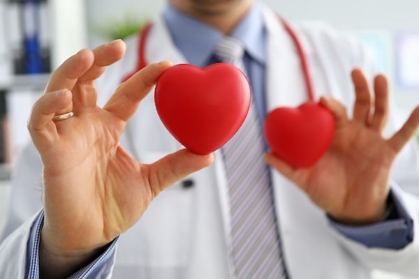Medico di base che mostra due cuori rossi in primo piano alla fotocamera. Educazione per studenti di cardioterapia, RCP salvavita. Il medico di base esegue un esame cardiaco fisico per misurare il concetto di aritmia