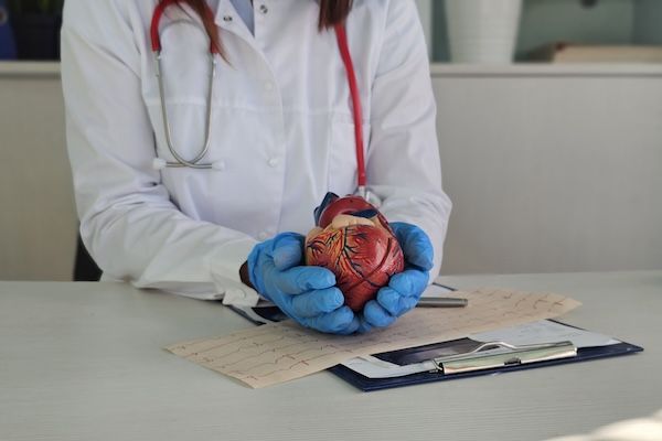 Medico con un modello anatomico del cuore nella sala visite di una pericardite