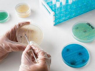 Infezioni-da-Staphylococcus-aureus