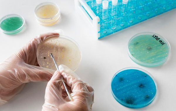 Infezioni-da-Staphylococcus-aureus