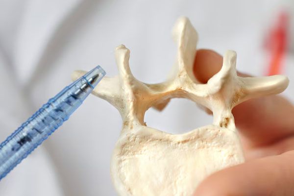 closeup-di-una-mano-che-tiene-la-rappresentazione-di-una-vertebra