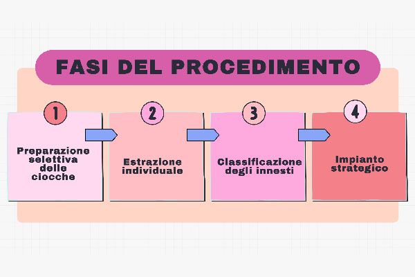 fasi del procedimento