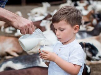 Allergia alle proteine del latte vaccino