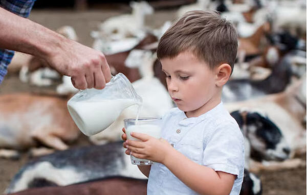 Allergia alle proteine del latte vaccino