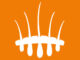 logo Hair Science Clinic