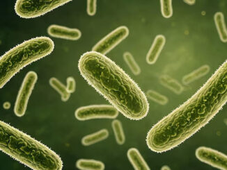 Batteriuria asintomatica