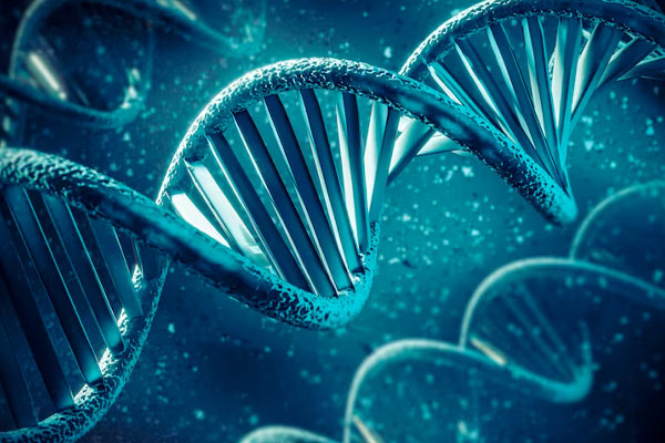 Rappresentazione 3D del DNA