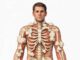 Fibrodisplasia osificante progressiva