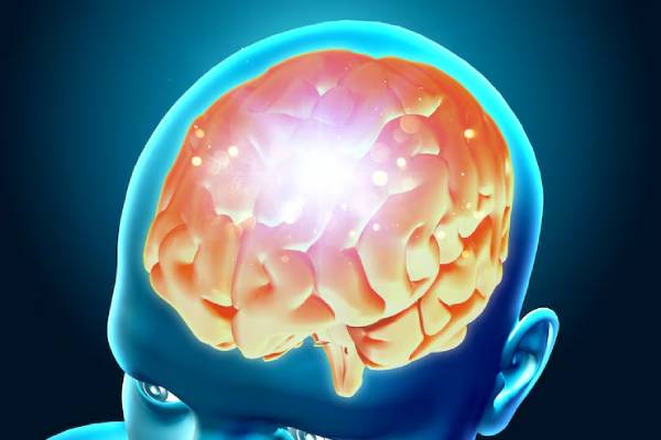 Zone del cervello coinvolte nella sindrome di Kleine-Levin
